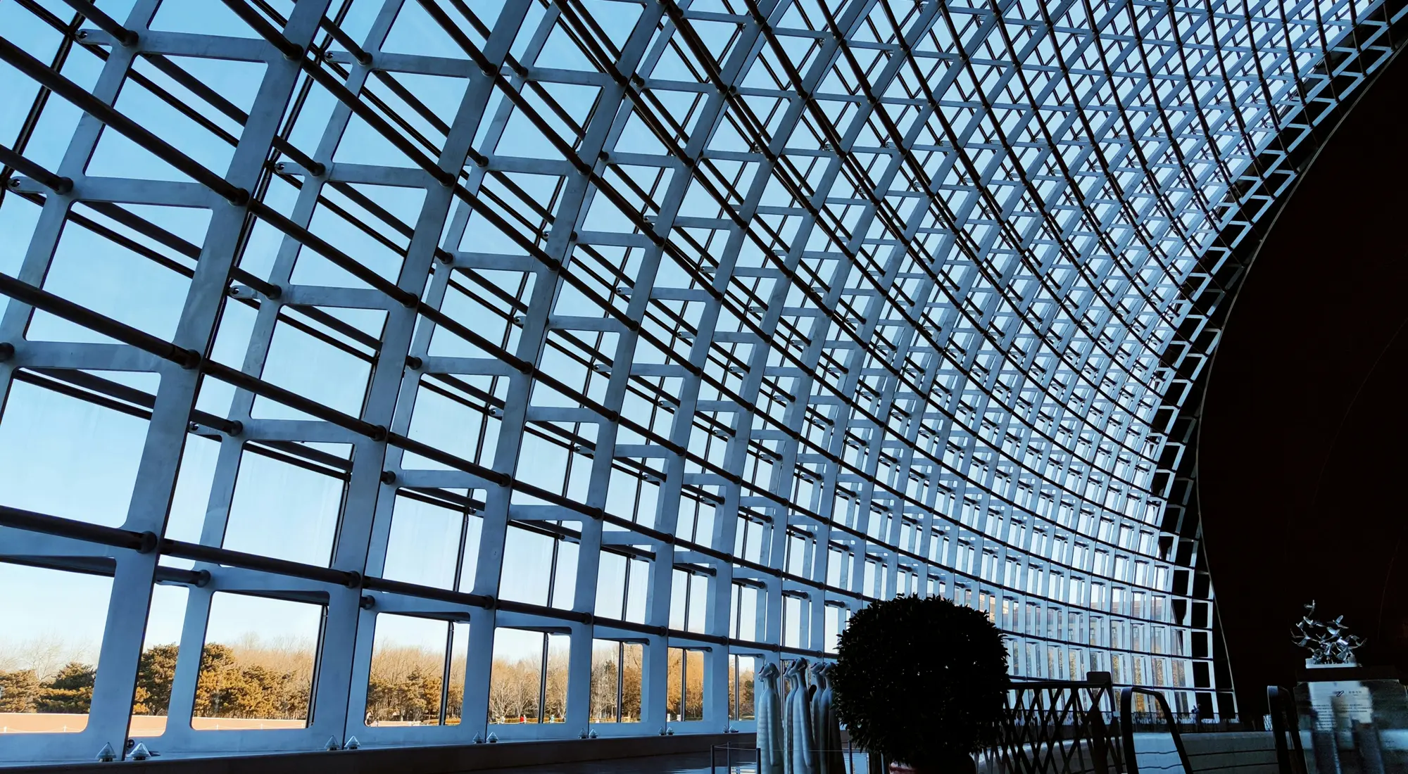 中国でプロフェッショナルな映像体験を